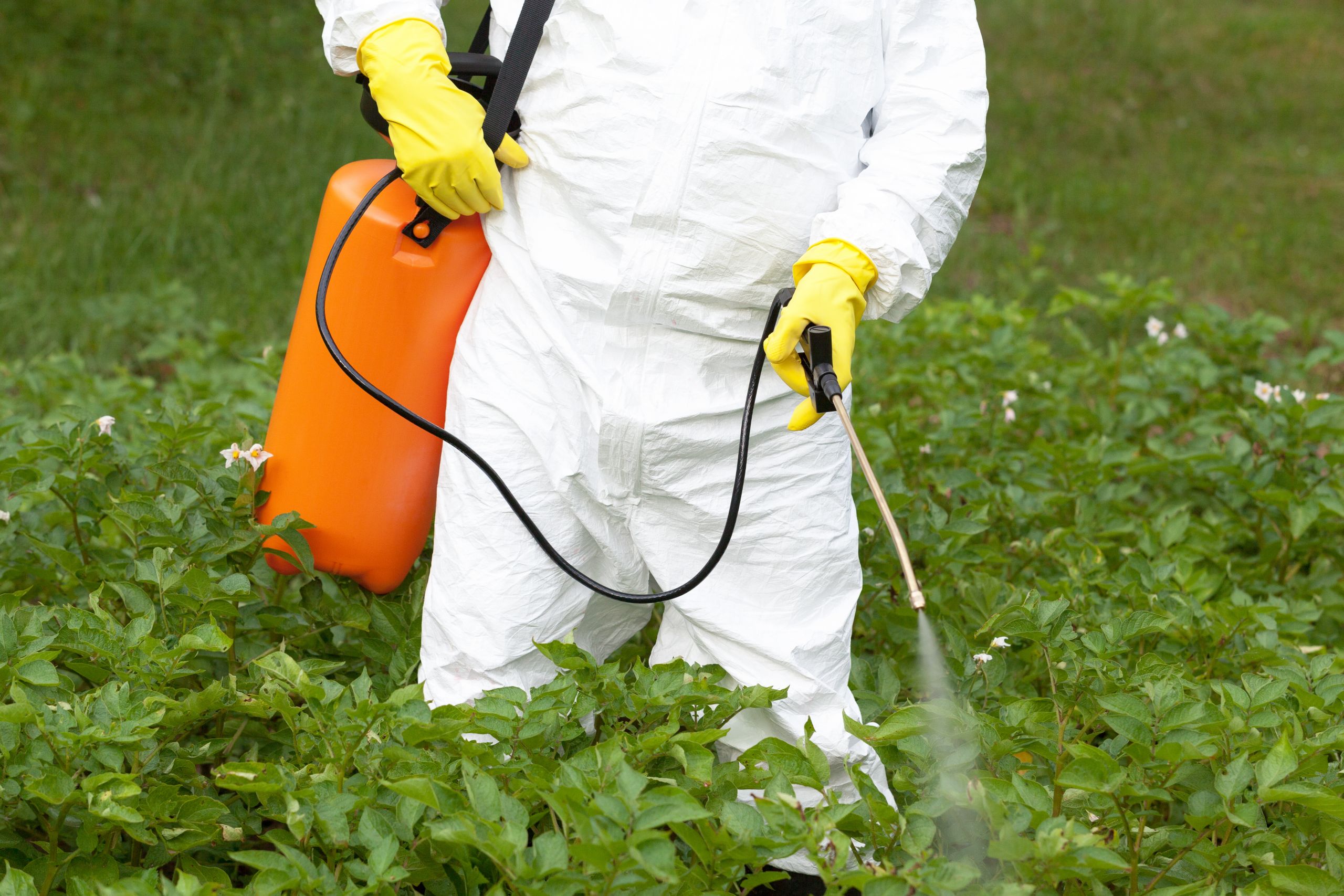 PPE in Short Supply for Farm Work During the COVID-19 Crisis