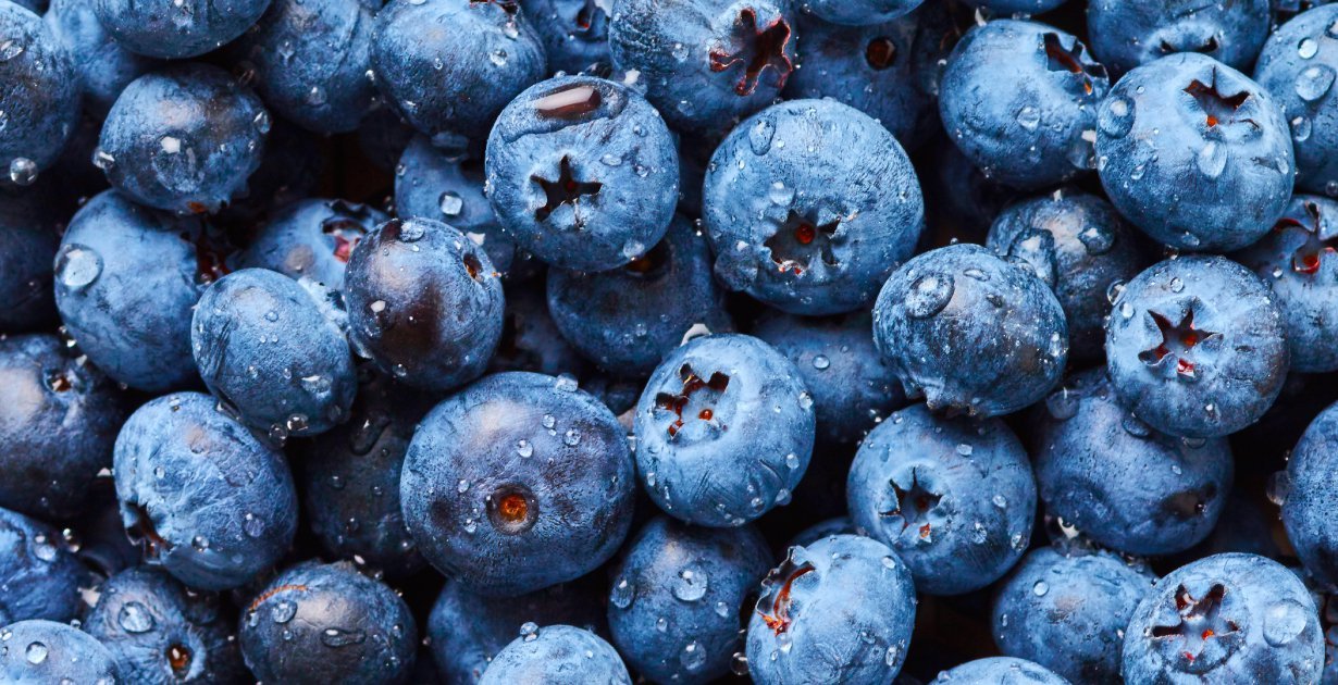 Philippine Market Opens to US Fresh Blueberries