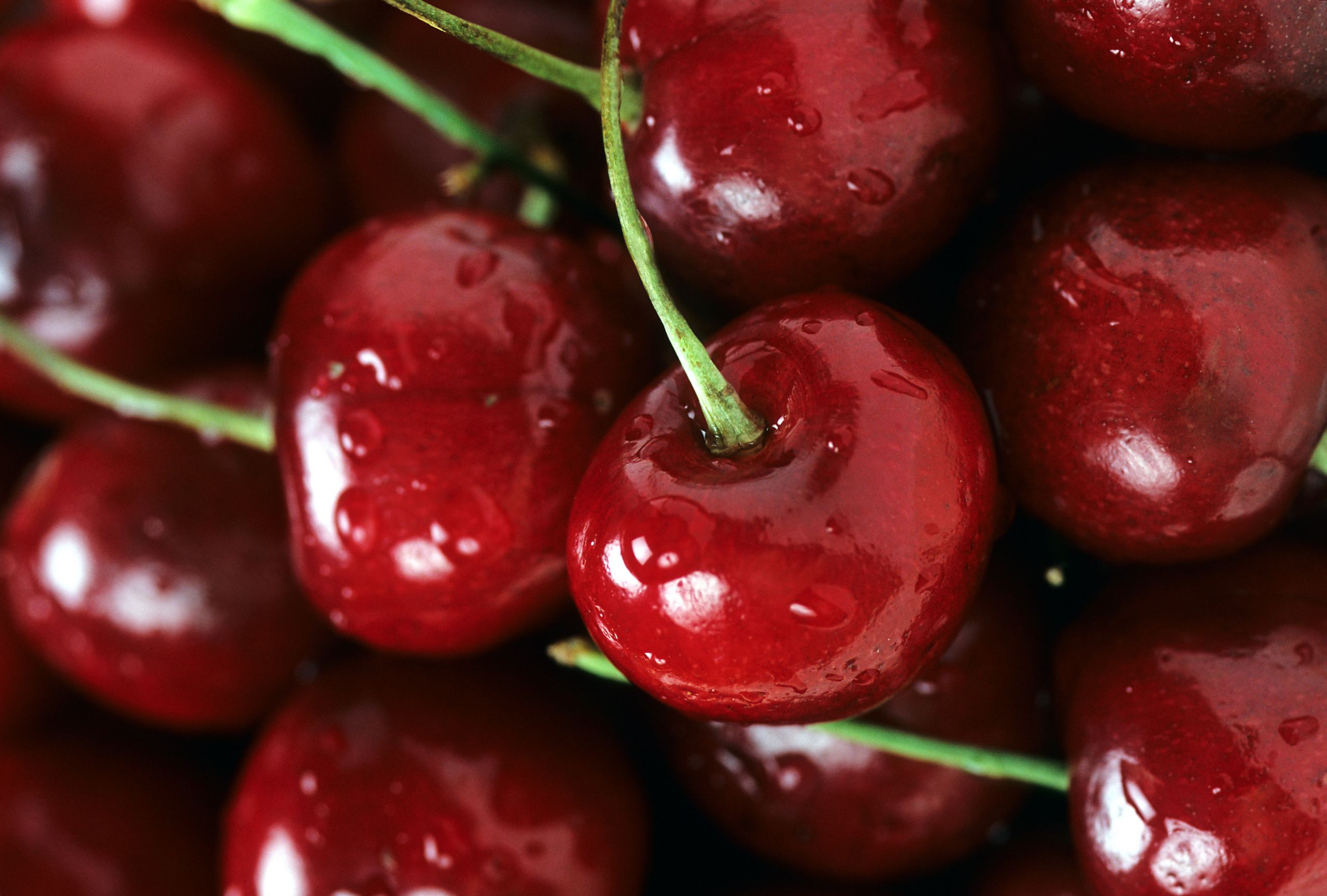 Bing Cherries: A Natural Health Remedy that Grows on Trees?