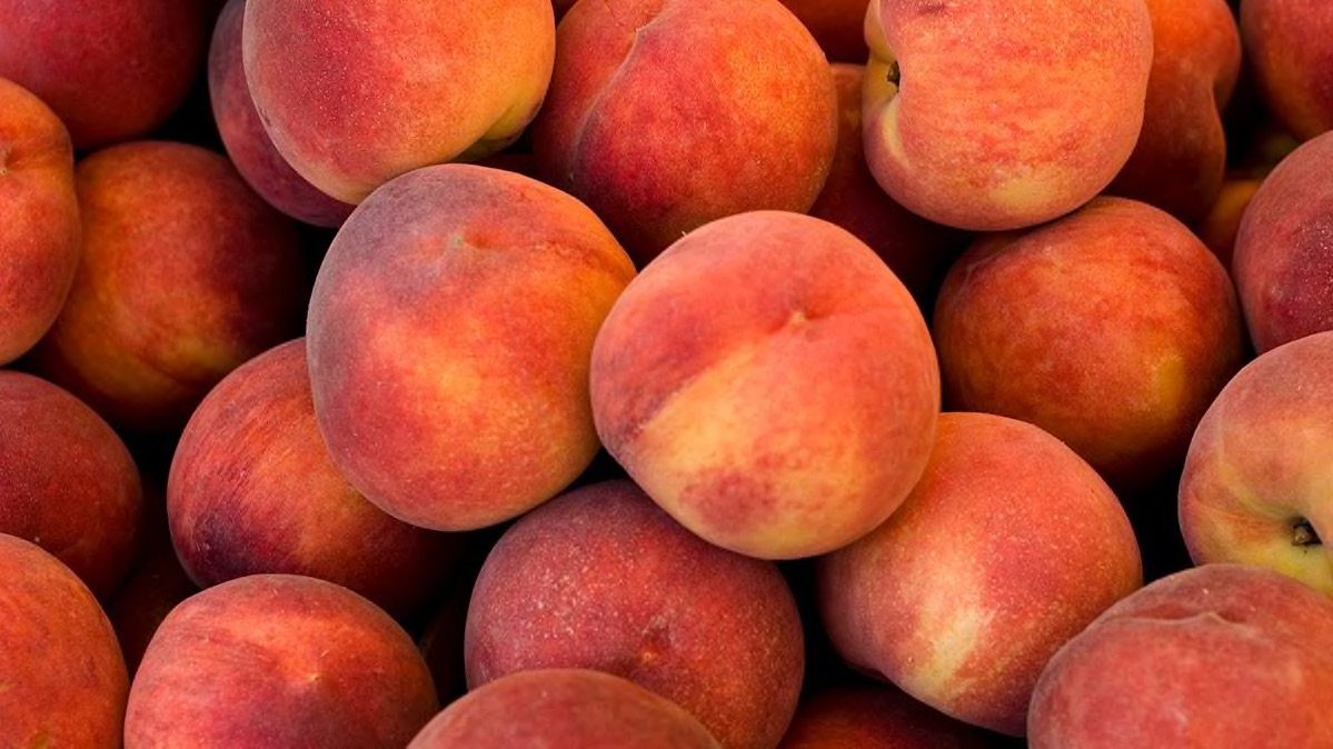 US Increases Market Share of Stone Fruit Exports in Taiwan