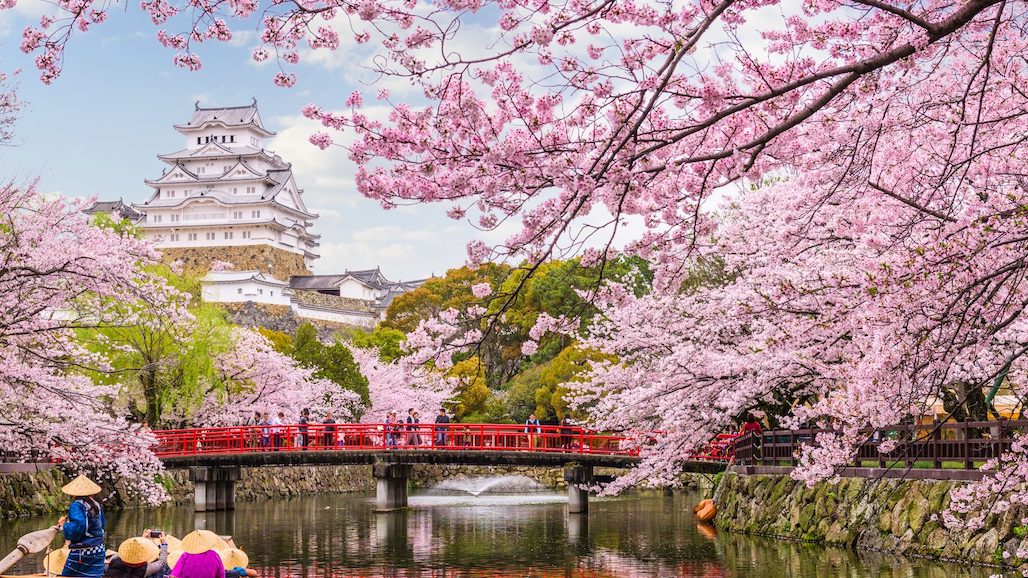 Opportunities for US Cherries in Japan (Door Still Closed for Peaches)