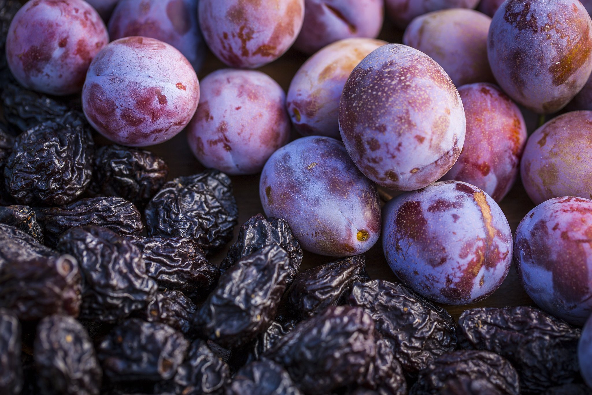 CA Prune Board Sees High-Quality Fruit in Short Crop Year