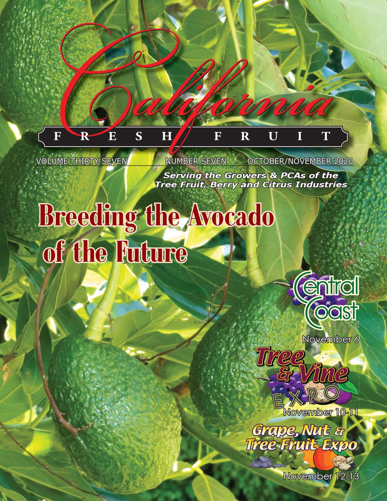 UnitedAg Celebrates 40 Years of Ag Healthcare