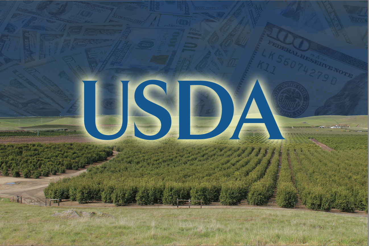 Heat Damaged Groves MAY BE Eligible for Tree Assistance Program Funding