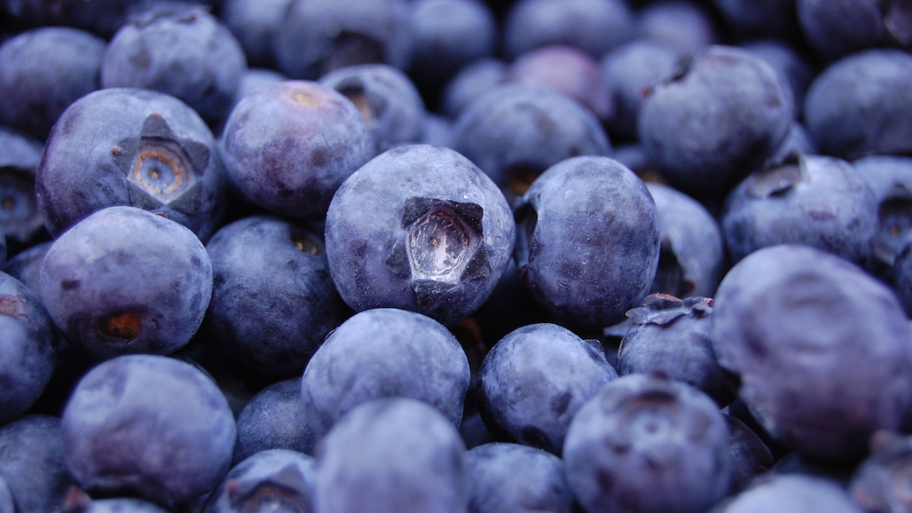 ITC Deems Foreign Imported Blueberries Not a Threat to Domestic Production