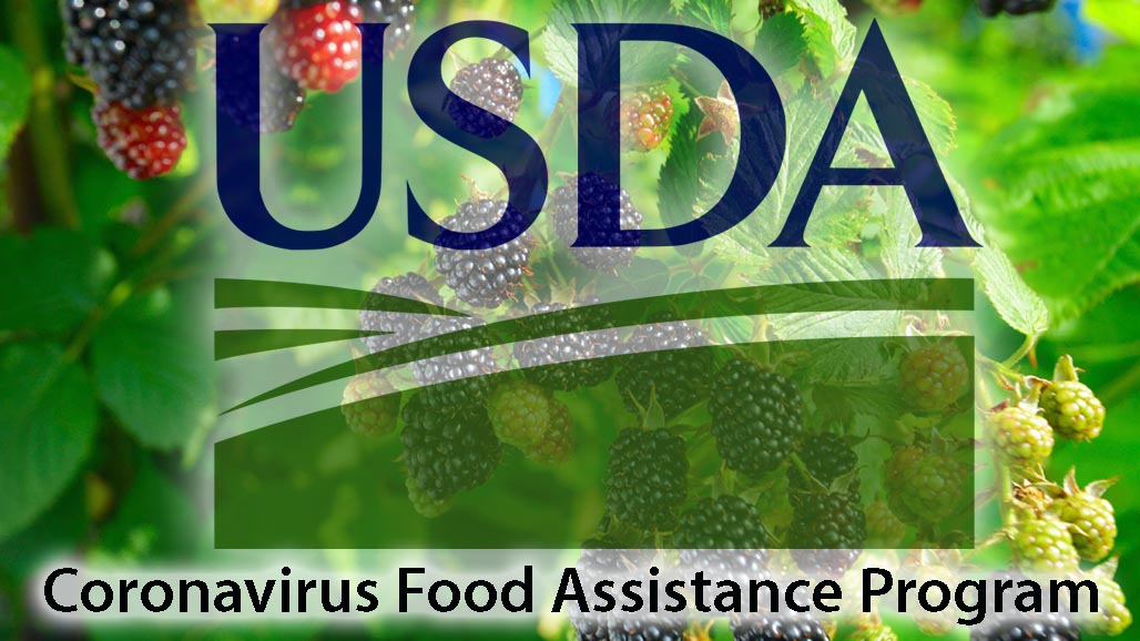 USDA Announces New & Expanded Pandemic Assistance for Farmers
