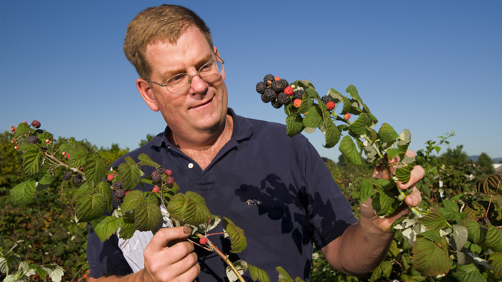 Water & Small Fruit Scientists Named to ARS Hall of Fame