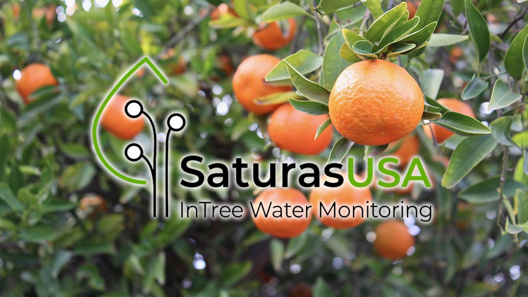 Monitoring Stem Water Potential in Citrus (Case Studies with StemSense)