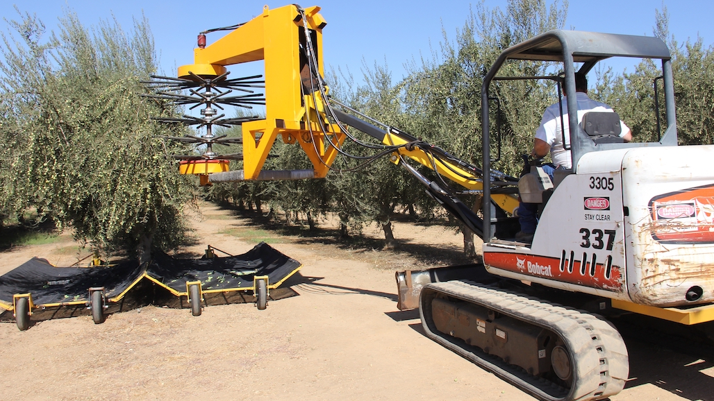 USDA’s Risk Management Agency Amends Potato Crop Insurance Options