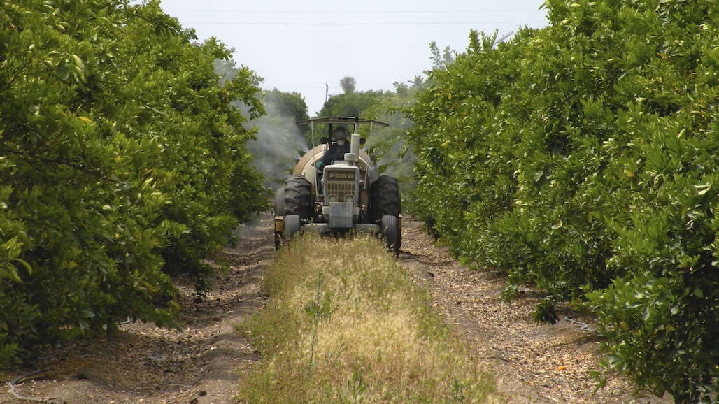Growers Urged to Participate in Kern County Coordinated Treatment