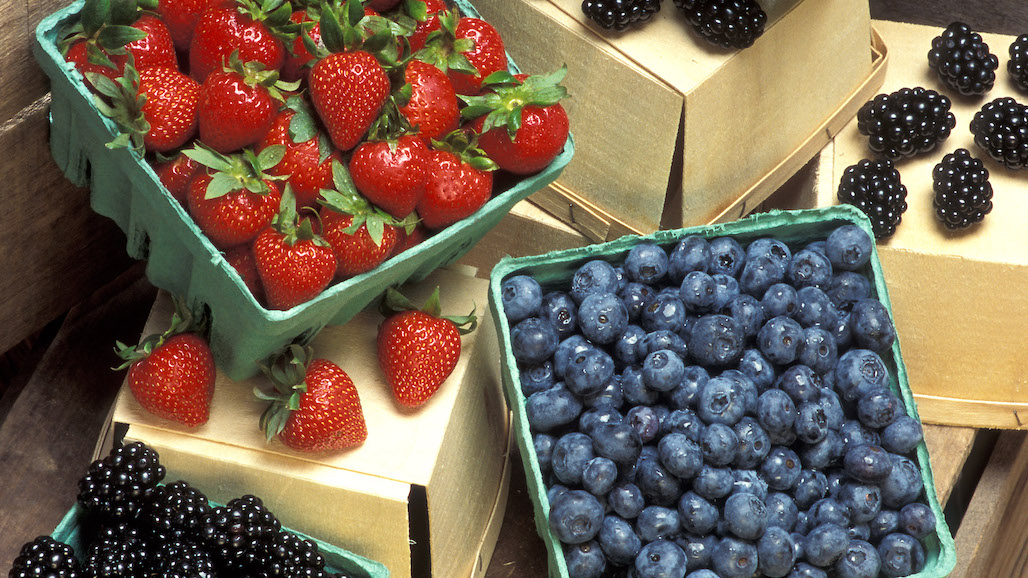 Slowing the Onset of Alzheimer’s by Eating Berries