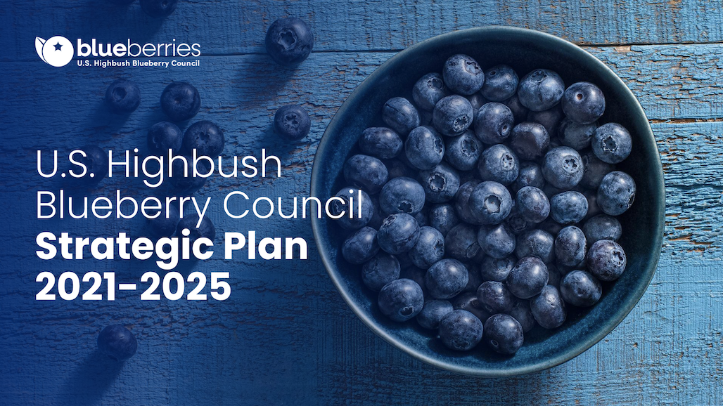 Blueberry Council Details Plan Empowering Industry to ‘Make Blueberries the World’s Favorite Fruit’