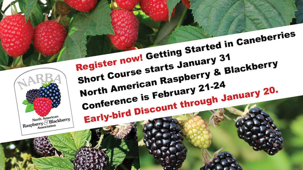 North American Raspberry & Blackberry Conference Goes Virtual