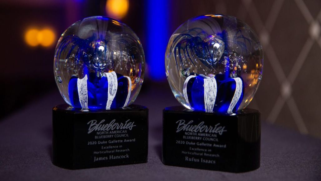 Nominate Blueberry Industry Standouts for NABC Awards