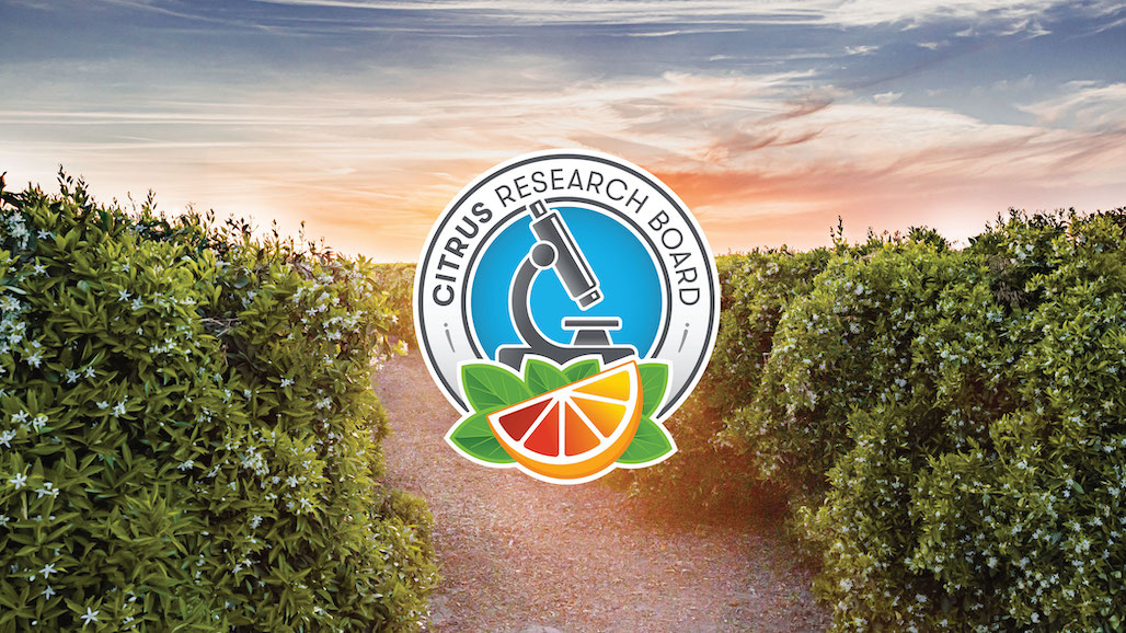 Citrus Research Board Secures Immense Support from Citrus Growers