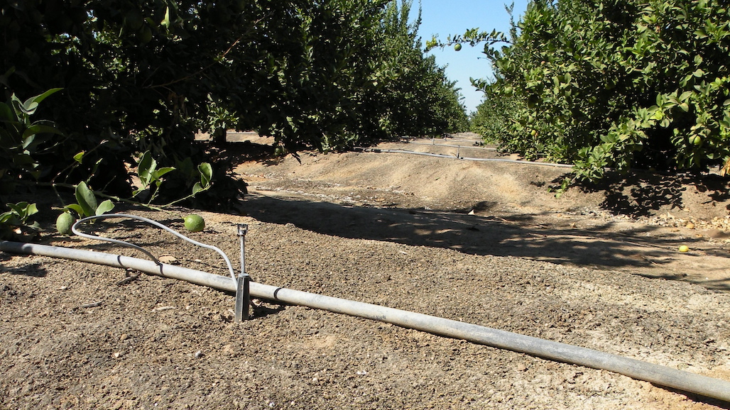 Local Organizations Address Critical Gaps For Those Impacted by Flooding in Monterey County