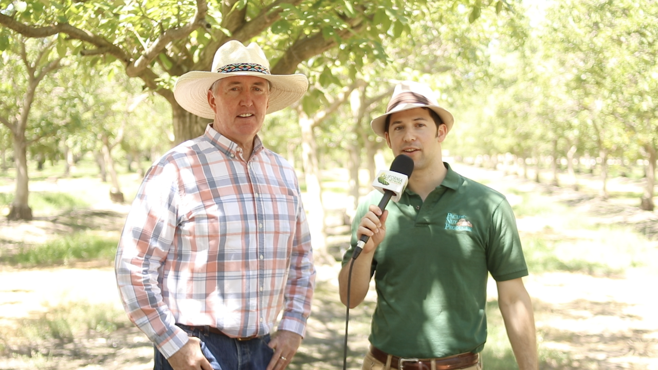 Exploring Different Options for On-Farm Groundwater Recharge