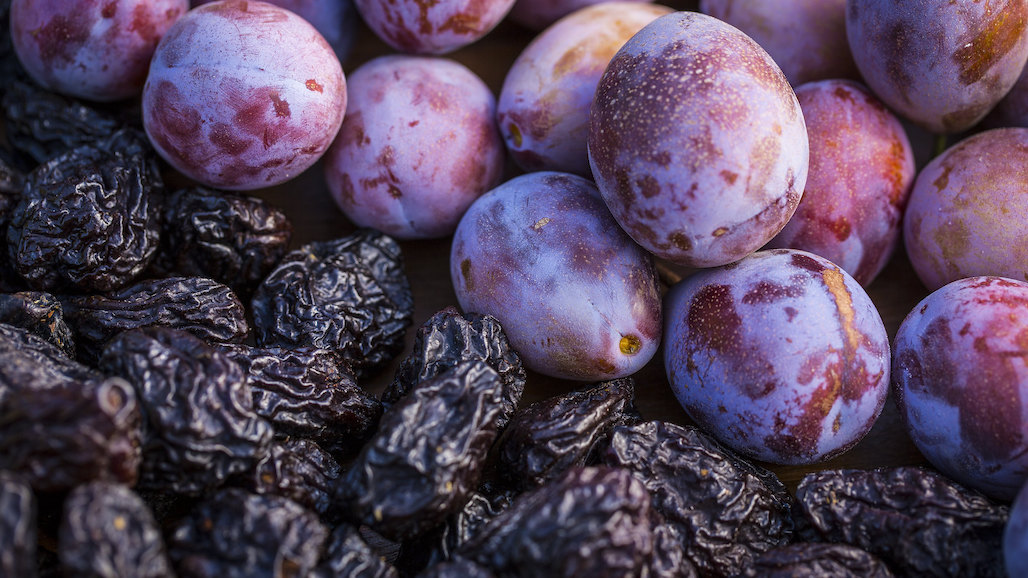New Prune Varieties Show Promise in Reducing Fruit Drying Costs