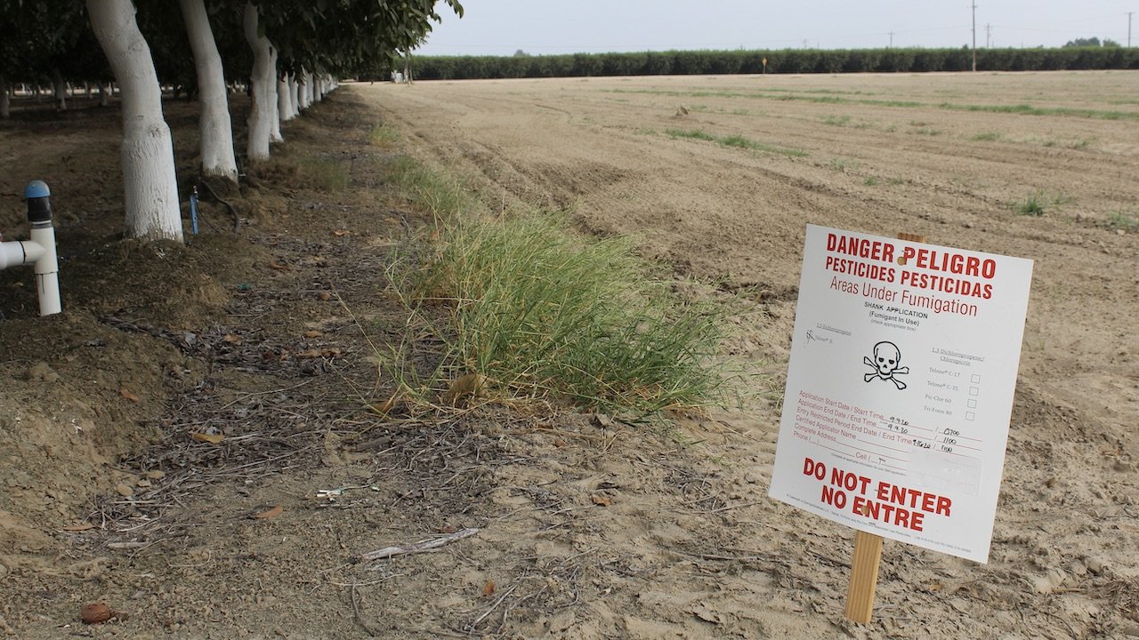 Fumigation Considerations Before Replanting an Orchard