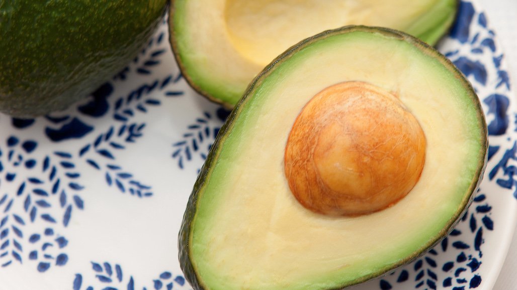 California Avocado Society Annual Meeting