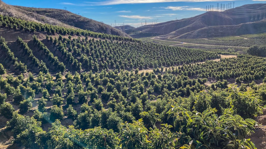 Organic Fruit Grower Workshop, DEC. 8