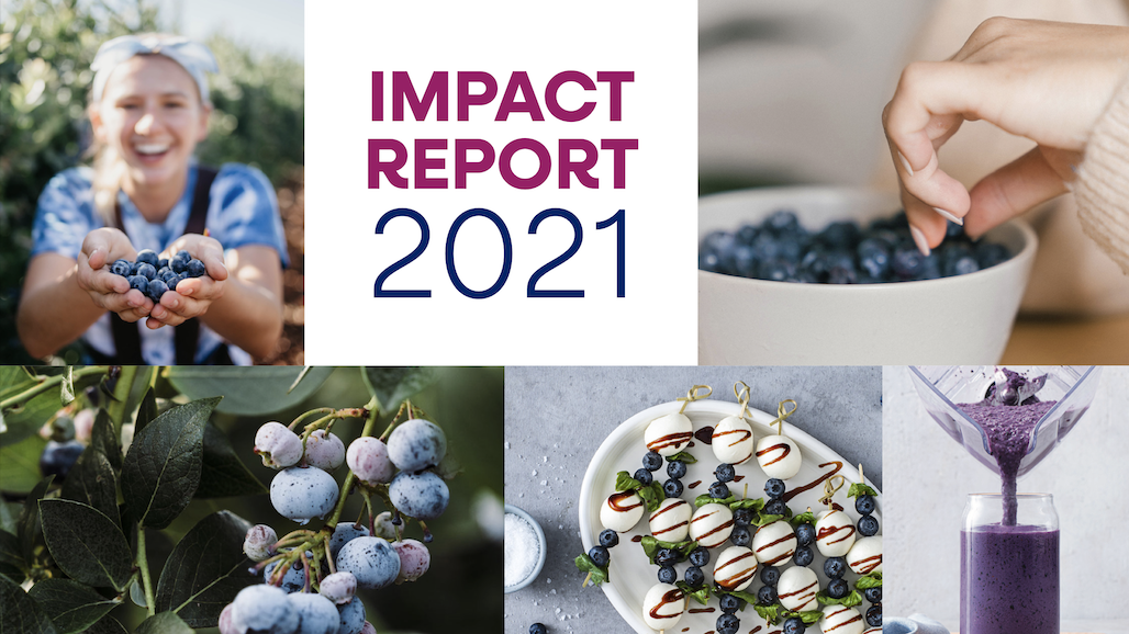 US Blueberry Impact Report Highlights Industry Growth, Innovation