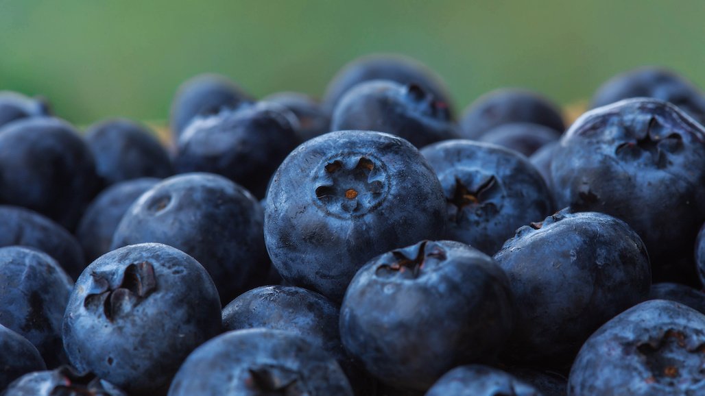 Blueberry Council Hires Monument Advocacy to Advance DC Presence