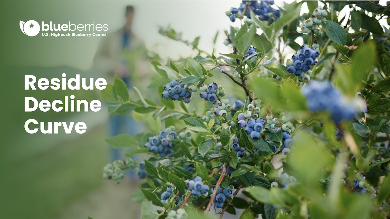Establishing Residue Decline Curves for Pesticides in Blueberries