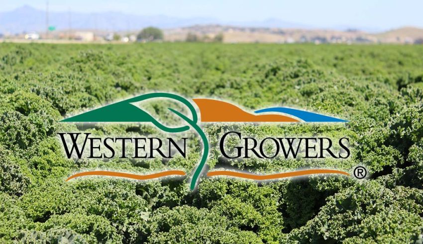 Growers Spend $500,000 Per Year on Automation