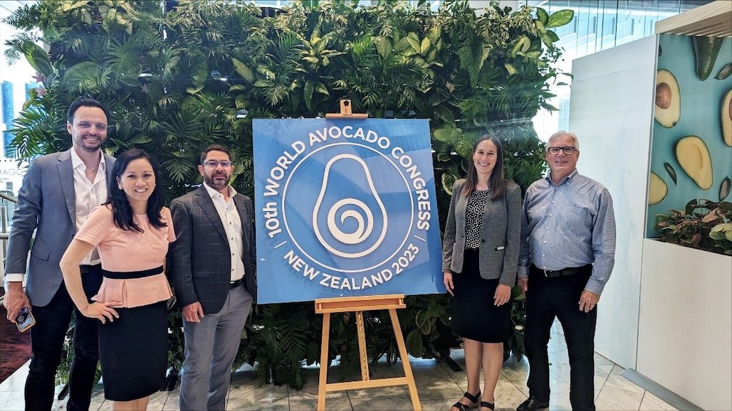 Webinar Spotlights Hass Avocado Board’s U.S. Strategy For Building Demand