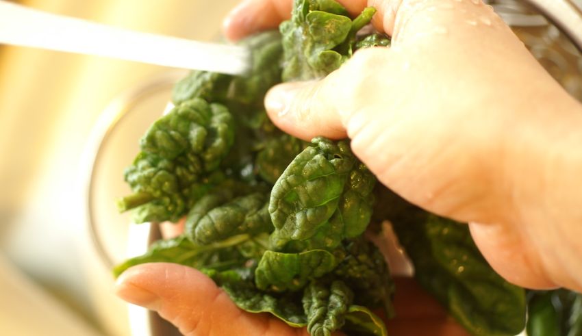The Seven Deadly Sins That Impact Produce Quality