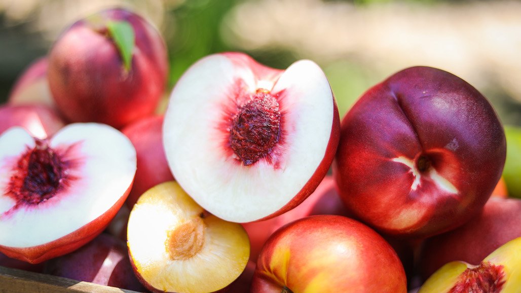 California Fresh Fruit Association Continues to Support Growers for Over 100 Years