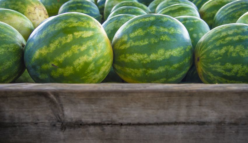 National Watermelon Retail Merchandising Contest Call for Entries