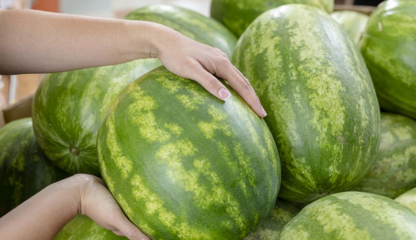 Connecting the Watermelon Industry with Retail and Foodservice Buyers