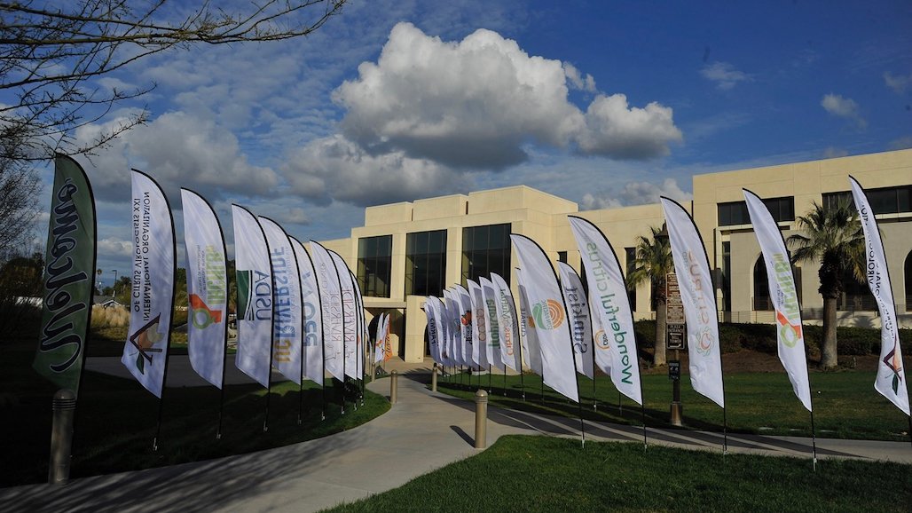 International Research Conference on Huanglongbing VII Coming March 2024