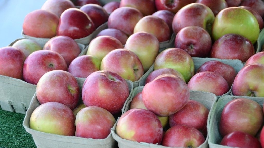 New UC Studies Estimate Production and Harvest Costs for Coastal Apples