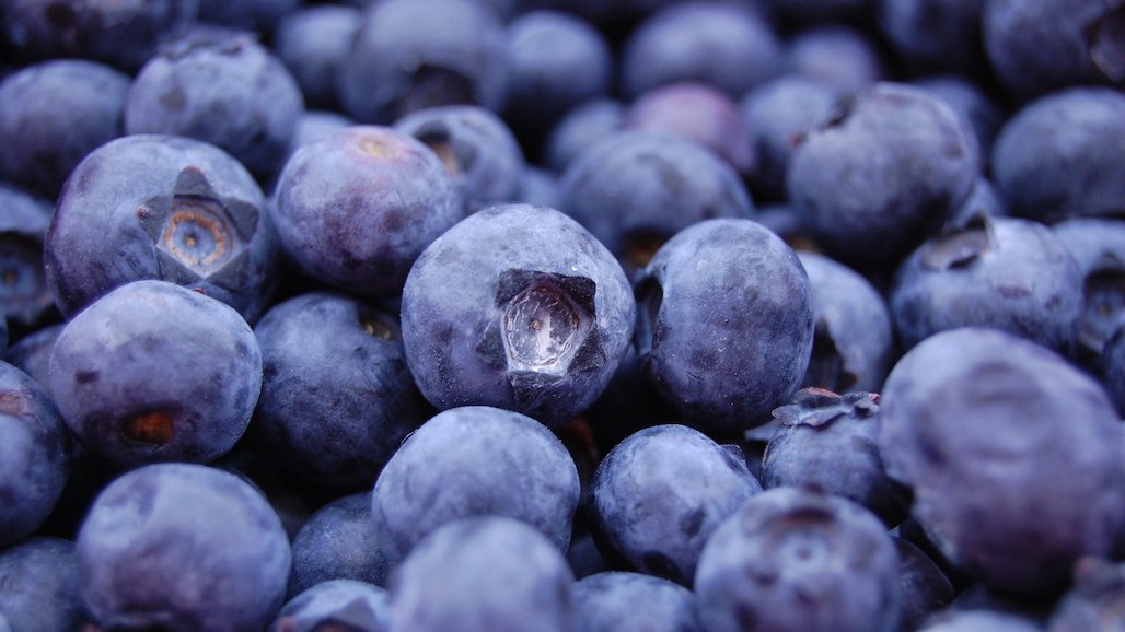 Mexican Blueberry Acreage & Production on the Rise