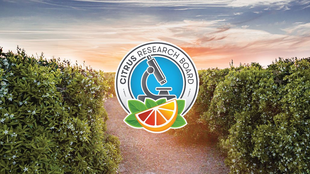 Citrus Research and Field Trials (CA-CRaFT) Program Now Accepting Cycle 2 Grower Applications