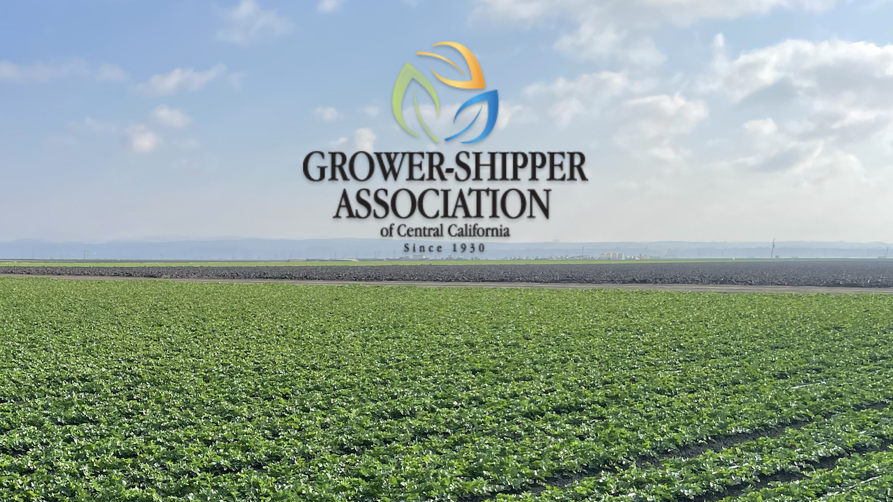 Grower-Shipper Association Appoints 2024 Board Members