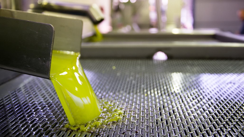 EU Faces Domestic Olive Oil Shortage