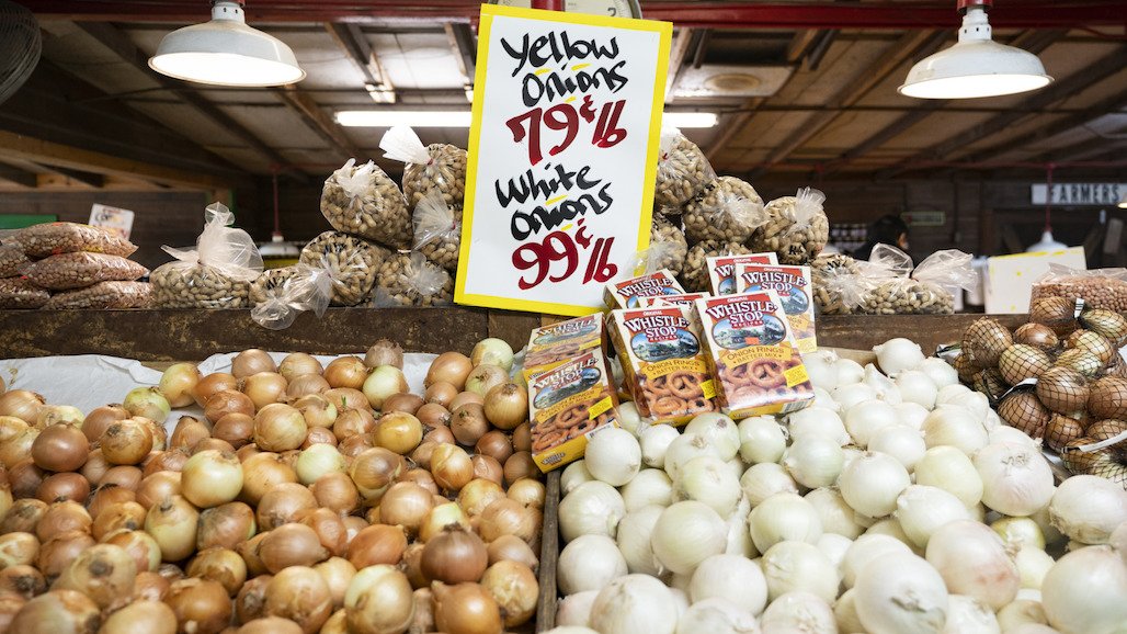 $5.2 Million Grant for Short-Day Onion Improvement