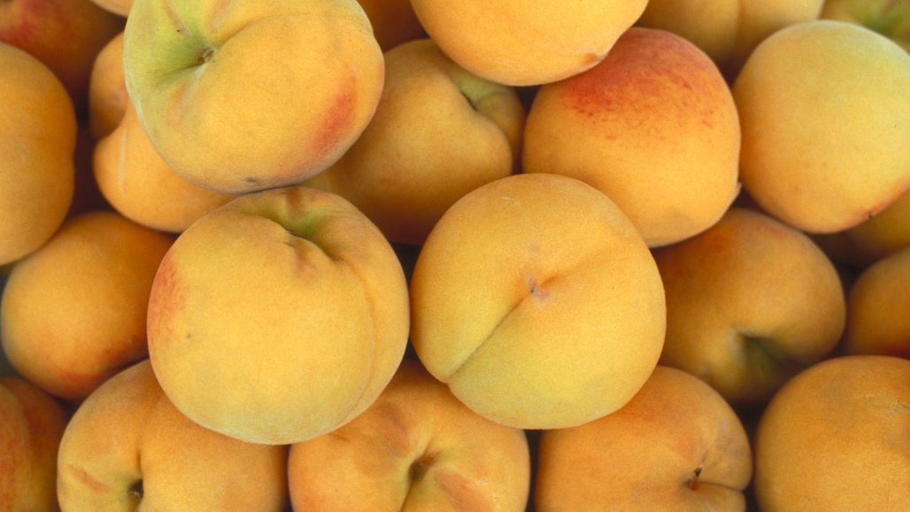 Australia a Key Market for US Fresh Fruit