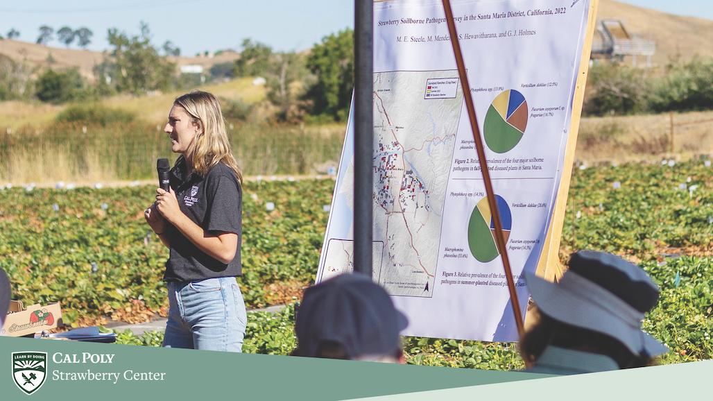 Cal Poly Strawberry Center 8th Annual Field Day