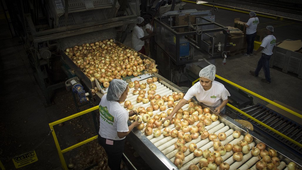 Israel May Seek U.S. Pistachio & Vegetable Imports Due to Turkish Trade Ban