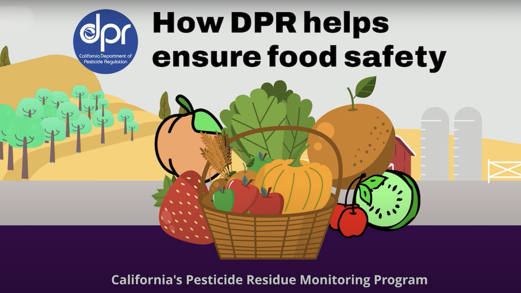 California Fruits and Vegetables Prove Some of the Safest in the World