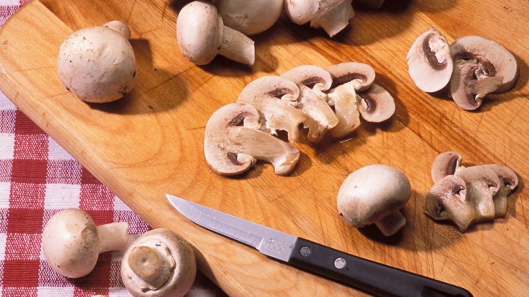 The Antimicrobial Benefits of Mushrooms