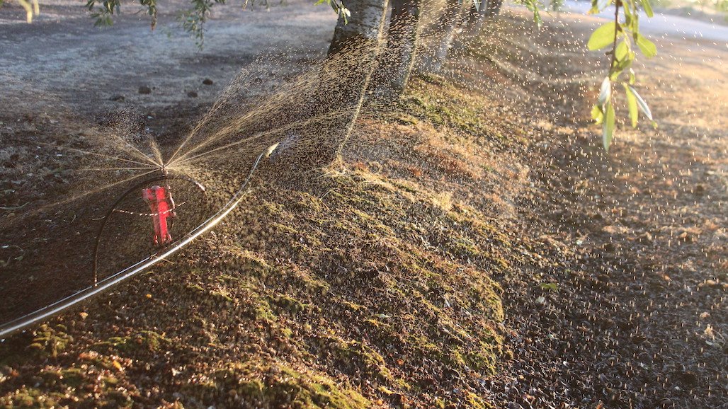 Maintaining Microirrigation Systems