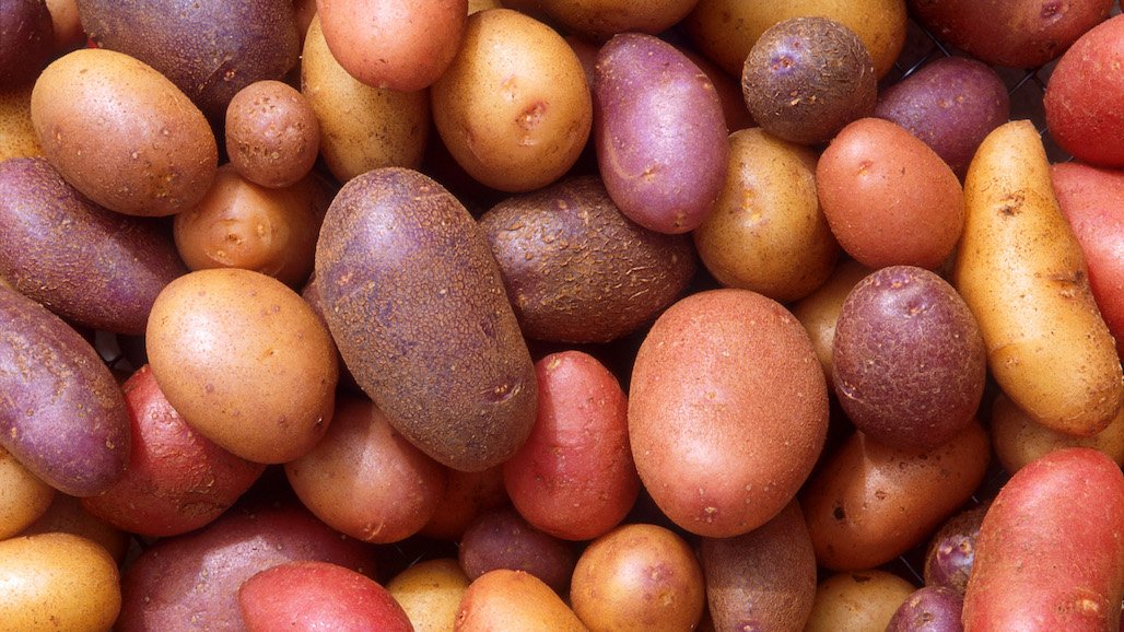 Study Reveals Consumer Path to Purchasing Potatoes