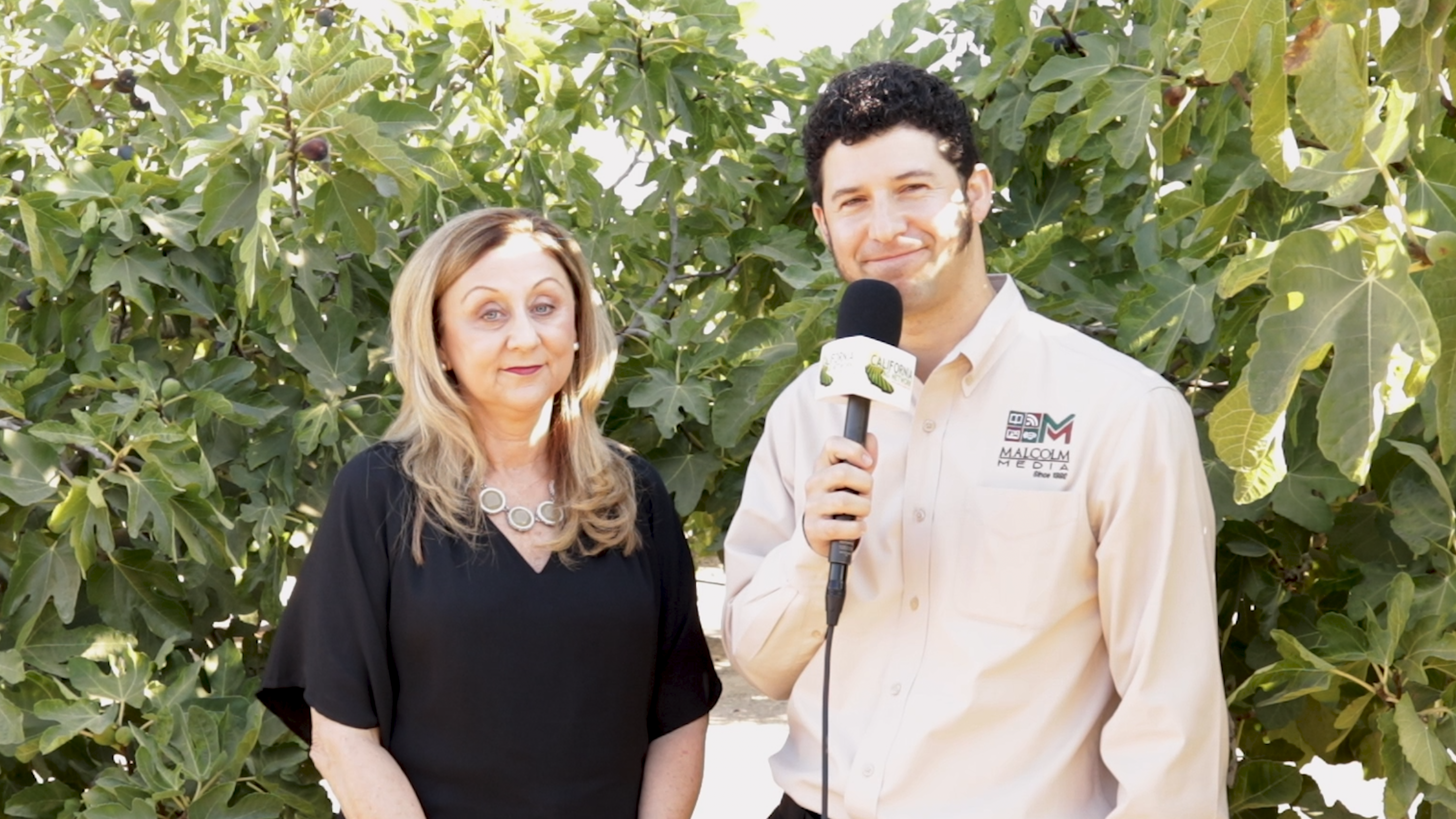 Fig Harvest is Here – California Fresh Fig Industry Poised for Growth