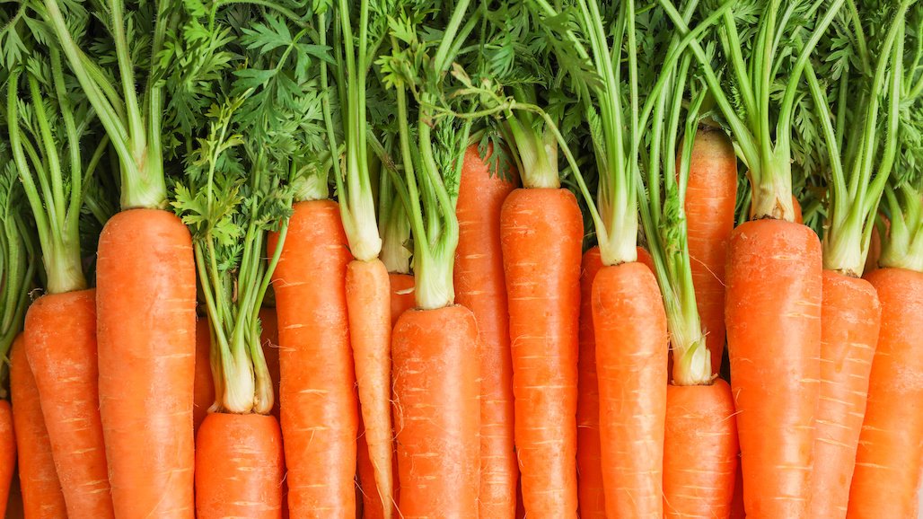 UCCE Carrot Production and Pest Management Webinar, Oct. 9